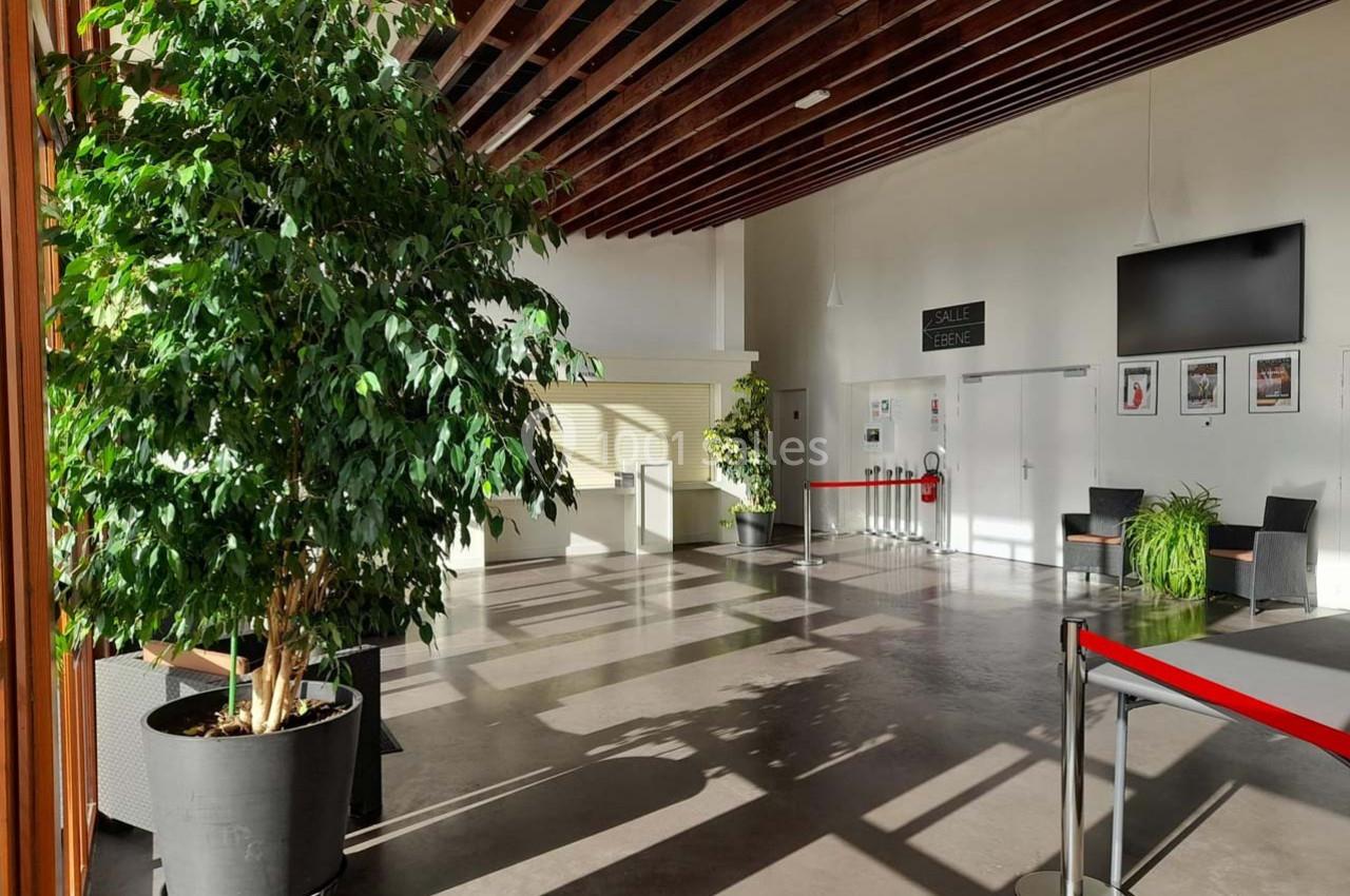 Hall lumineux avec un grand ficus en pot, des fauteuils, une télévision murale et une entrée de salle fermée par un ruban…