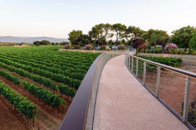Des personnes assises à une table en extérieur, discutant et partageant un repas devant un paysage de vignobles au coucher…