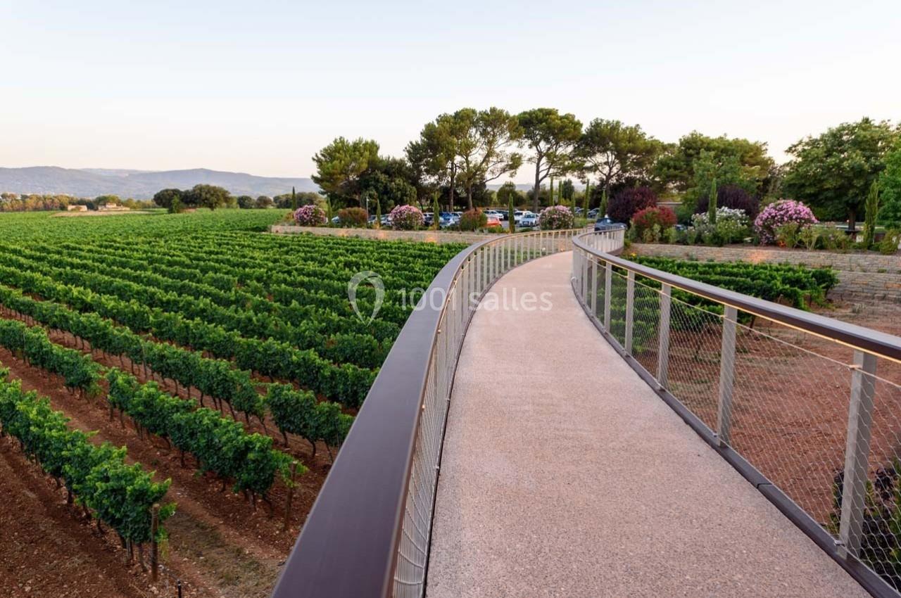Passerelle en béton bordée de garde-corps métalliques surplombant des rangées de vignes et des arbres en arrière-plan.