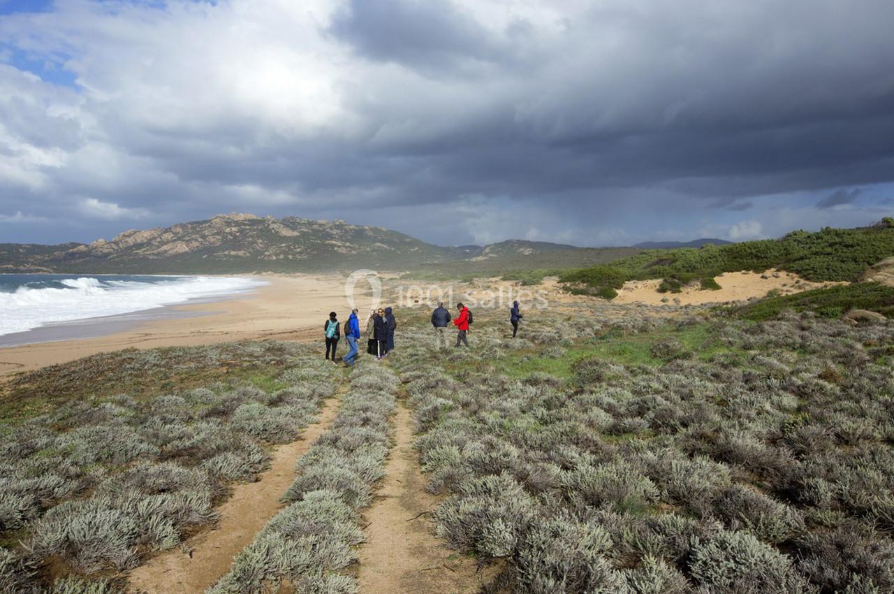 Location salle Sartène (Corse-du-Sud) - Domaine de Murtoli #45