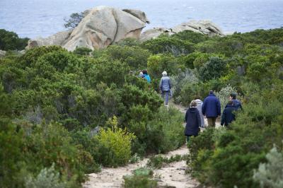 Location salle Sartène (Corse-du-Sud) - Domaine de Murtoli #53