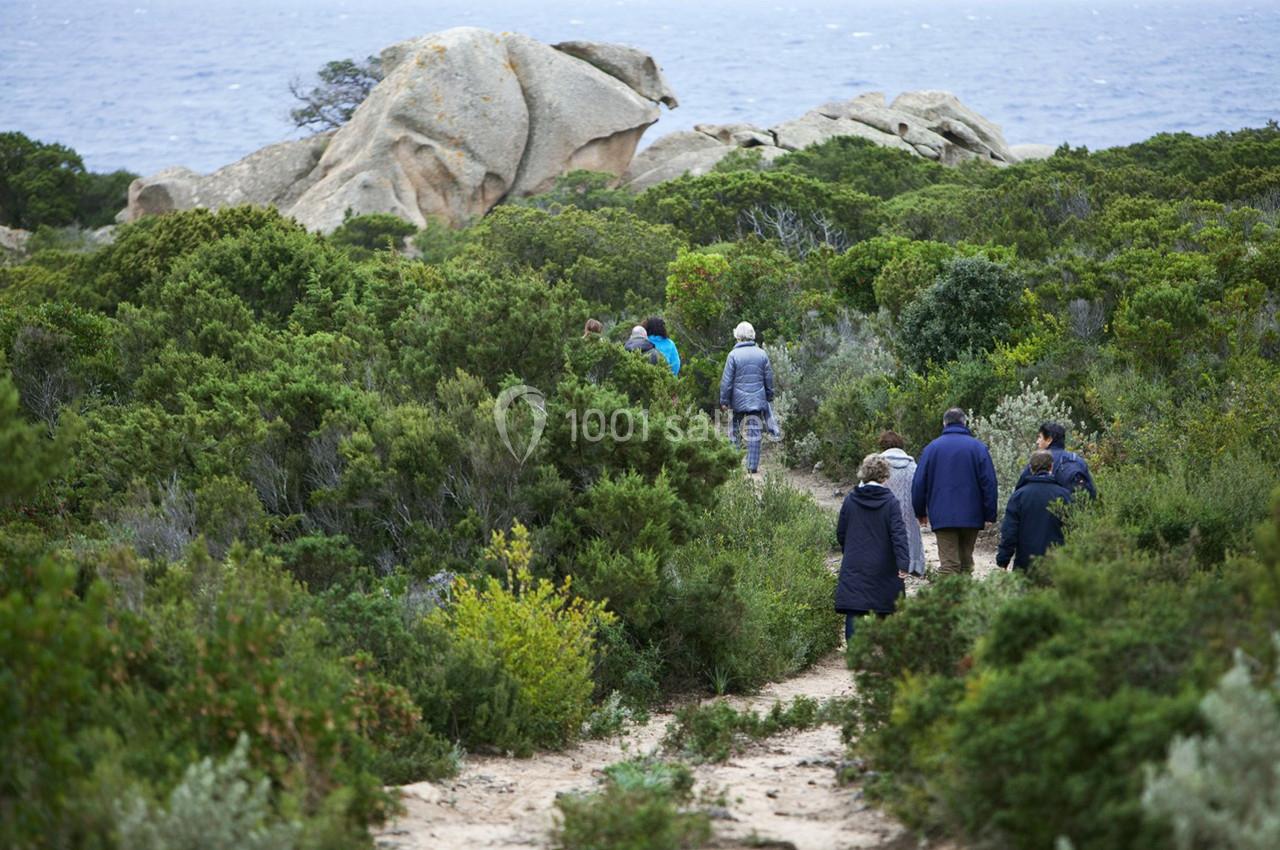 Location salle Sartène (Corse-du-Sud) - Domaine de Murtoli #44