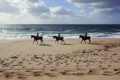 Location salle Sartène (Corse-du-Sud) - Domaine de Murtoli #53