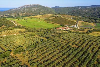 Location salle Sartène (Corse-du-Sud) - Domaine de Murtoli #53