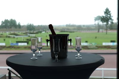 Miniature SALLE PANORAMIQUE Seau à champagne avec bouteille et quatre flûtes vides sur une table, vue sur un paysage extérieur avec pelouse.