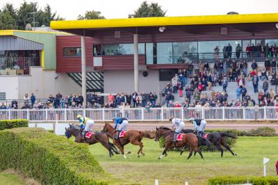Un motocycliste effectue un saut spectaculaire au-dessus de véhicules dans un espace extérieur ensoleillé.