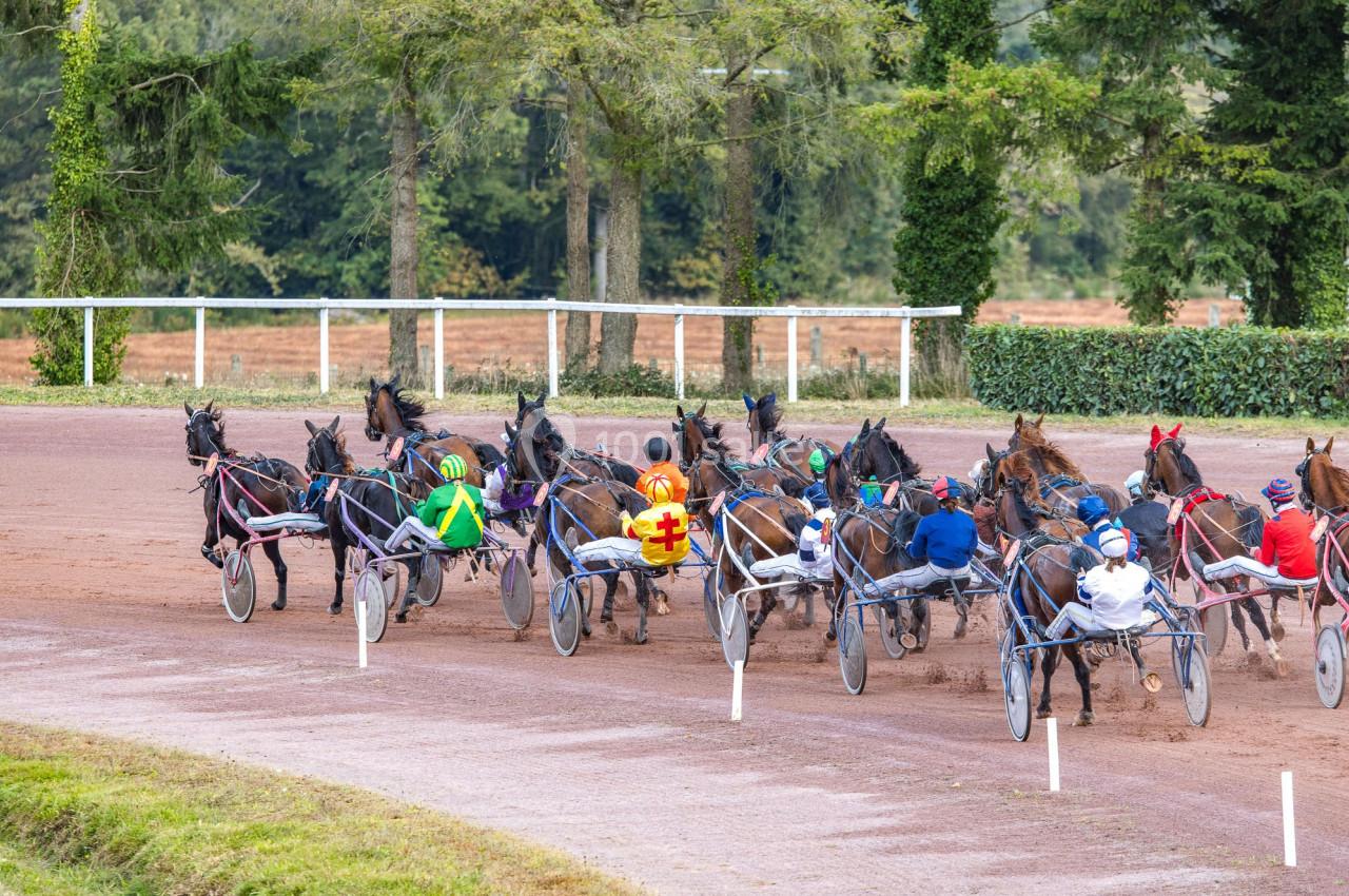 Course de trot attelé sur une piste en terre, avec plusieurs chevaux et jockeys en compétition.