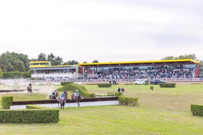 Un motocycliste effectue un saut spectaculaire au-dessus de véhicules dans un espace extérieur ensoleillé.