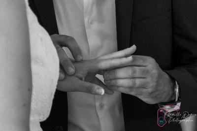 Photo Cam's Animation  #23