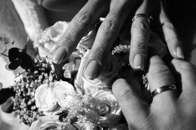 Photo Cam's Animation  #23