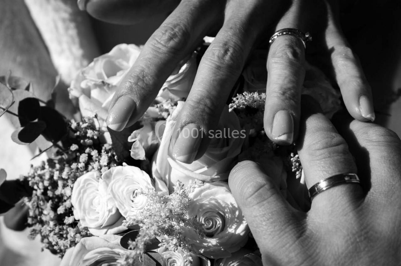 Photo Cam's Animation  #17