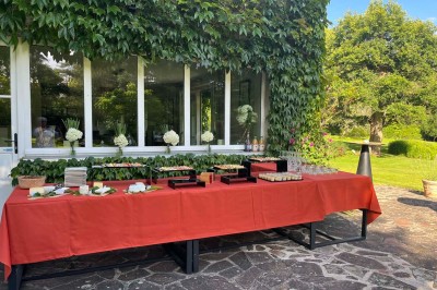 Table en bois clair avec un livre, une carte et un vase contenant une fleur verte, près d'un fauteuil blanc.