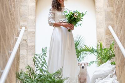 Location salle Lussac (Gironde) - Pavillon des Millésimes #73