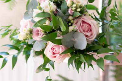 Location salle Lussac (Gironde) - Pavillon des Millésimes #73