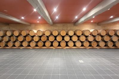 Façade d'une grande maison en pierre claire avec volets bleus, entourée d'un jardin et d'une allée gravillonnée.