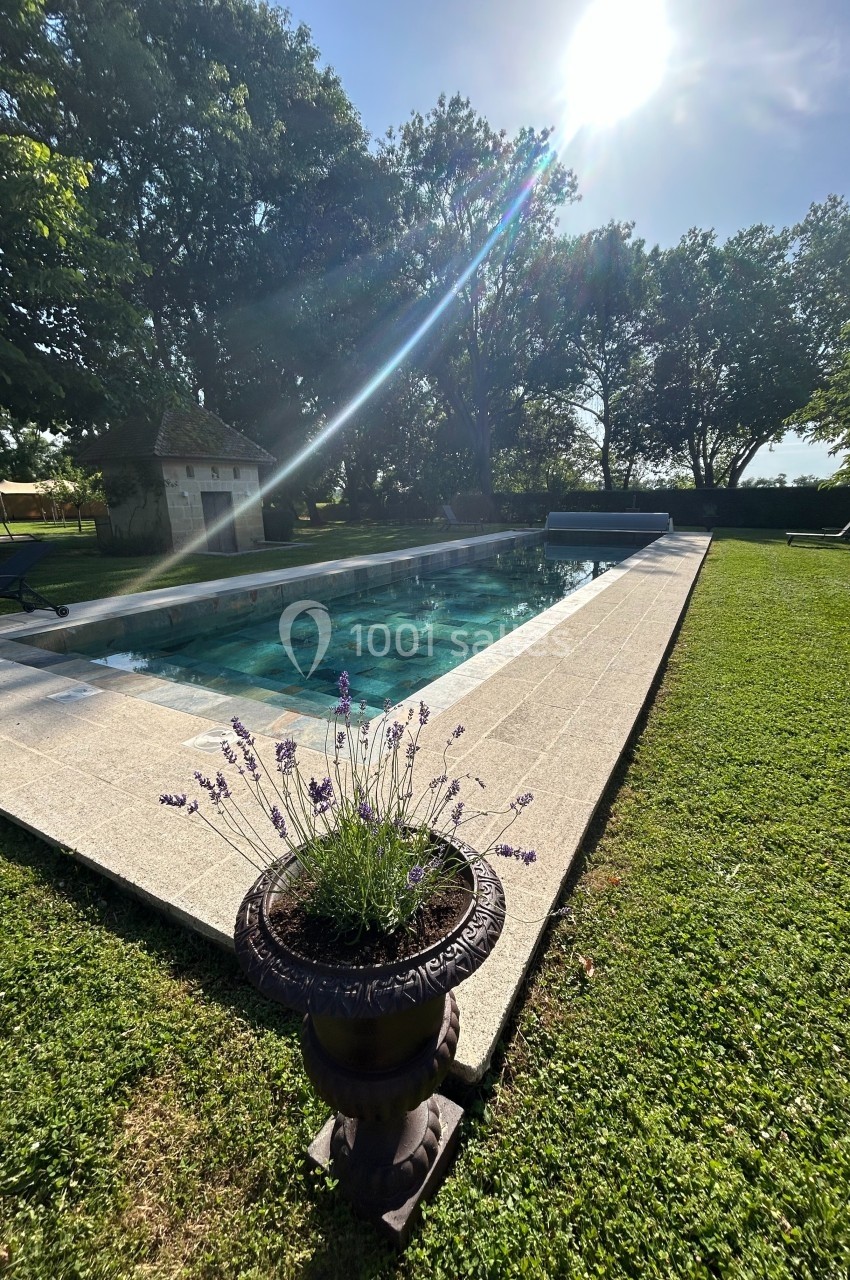 Piscine extérieure entourée de verdure, avec un pot de lavande au premier plan et un ciel ensoleillé.