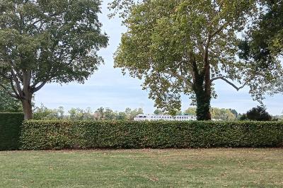 Miniature Location salle Arveyres (Gironde) - Château Larteau #19 Vue d'un jardin verdoyant avec un arbre central, un escalier en pierre et un lac au coucher du soleil.