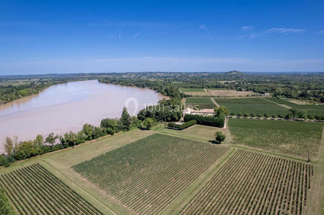 Vue aérienne de vignobles bordant une rivière sous un ciel dégagé, entourés de paysages verdoyants.