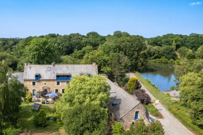 Arbuste de rhododendrons roses en fleurs dans un jardin verdoyant, sous un ciel bleu ensoleillé.