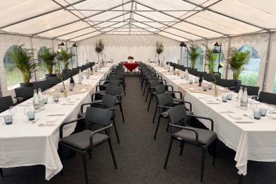 Arbuste de rhododendrons roses en fleurs dans un jardin verdoyant, sous un ciel bleu ensoleillé.