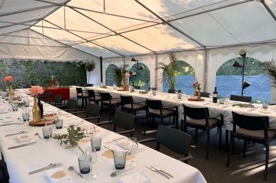 Arbuste de rhododendrons roses en fleurs dans un jardin verdoyant, sous un ciel bleu ensoleillé.