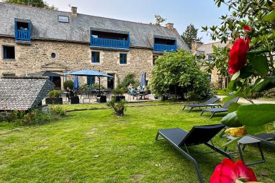 Arbuste de rhododendrons roses en fleurs dans un jardin verdoyant, sous un ciel bleu ensoleillé.