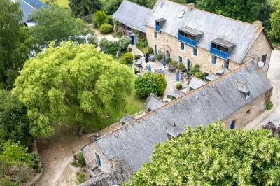 Arbuste de rhododendrons roses en fleurs dans un jardin verdoyant, sous un ciel bleu ensoleillé.