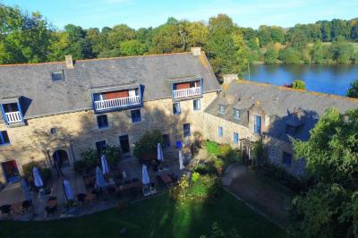 Arbuste de rhododendrons roses en fleurs dans un jardin verdoyant, sous un ciel bleu ensoleillé.
