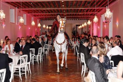 Location salle Villepreux (Yvelines) - Grand'maisons #24