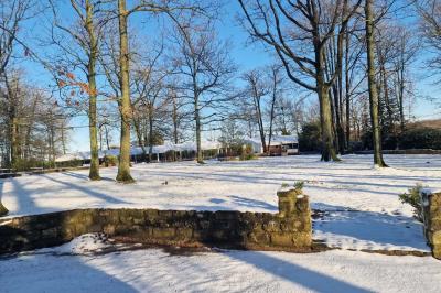 Deux tables rondes décorées pour un événement, avec nappes blanches, fleurs, verres et serviettes pliées.