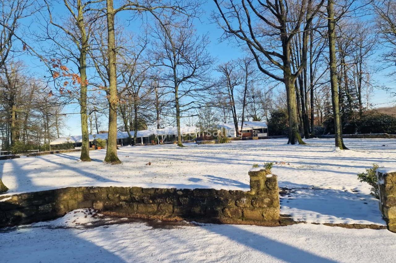 Paysage hivernal avec des arbres dénudés et un sol recouvert de neige sous un ciel bleu clair.