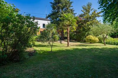 Un vase en verre avec des feuilles vertes posé sur une table dressée en extérieur, entourée de végétation.