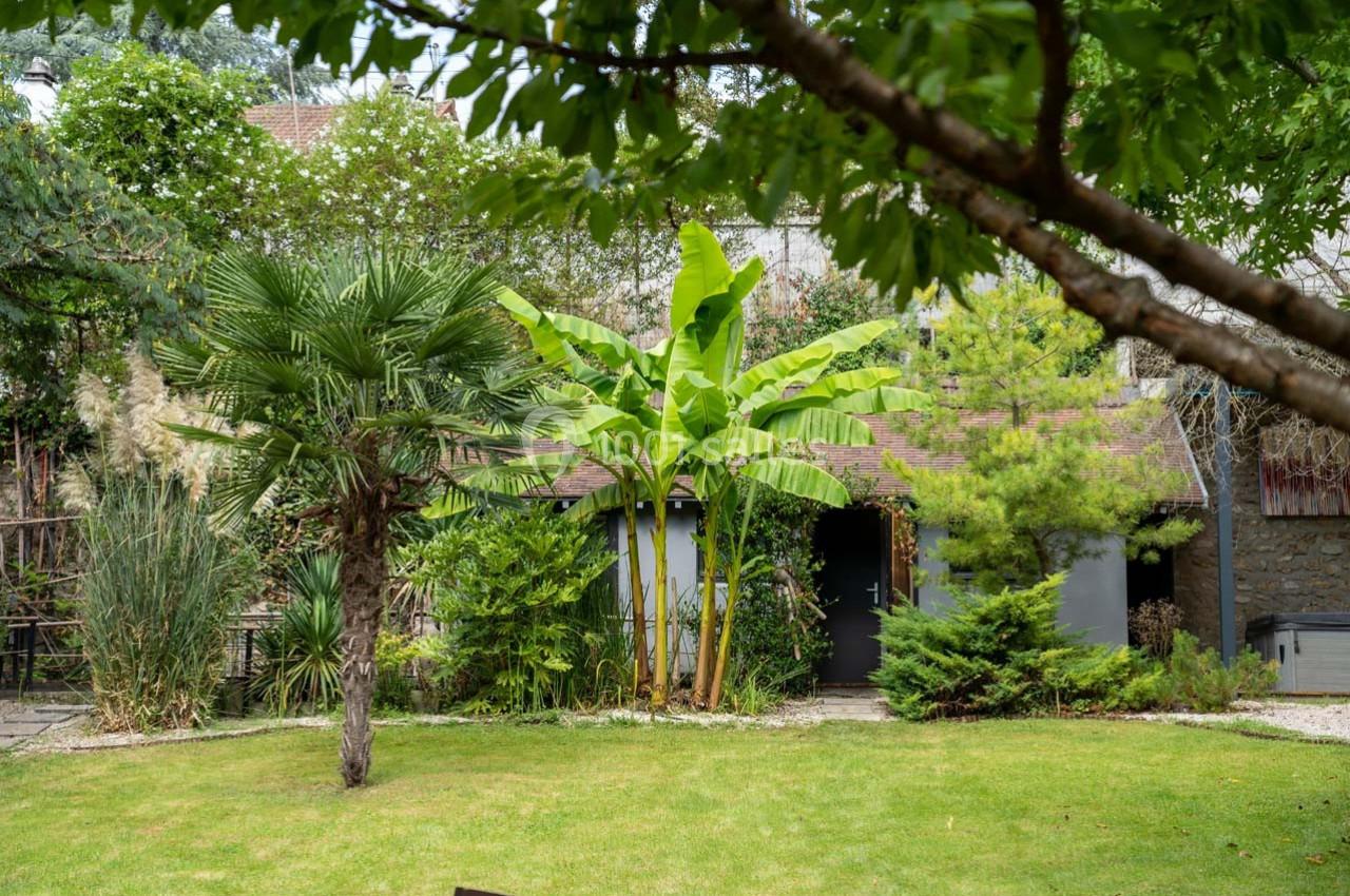 Jardin verdoyant avec pelouse, arbres tropicaux et petite cabane en bois au fond, entourée de végétation dense.