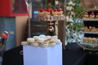 Assiettes blanches garnies de petites portions de mâche alignées sur une table.