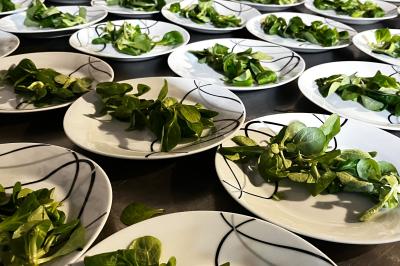Assiettes blanches garnies de petites portions de mâche alignées sur une table.