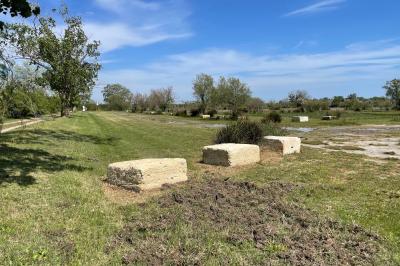 Deux chevaux blancs derrière une clôture en bois, entourés d'herbes hautes sous un ciel bleu.