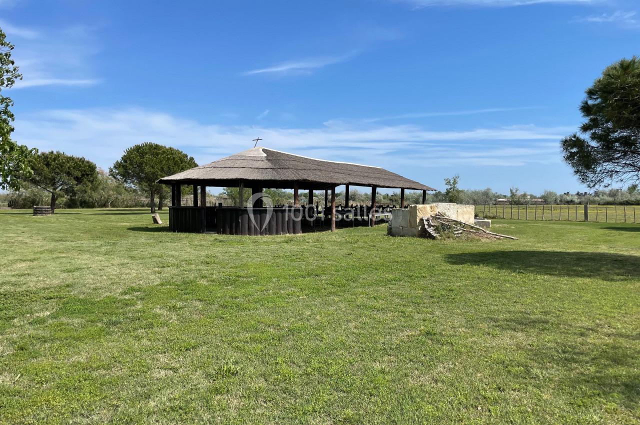 Abri en bois ouvert avec toit en chaume, situé sur une pelouse verdoyante sous un ciel dégagé.