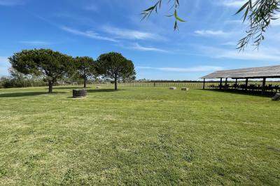 Deux chevaux blancs derrière une clôture en bois, entourés d'herbes hautes sous un ciel bleu.
