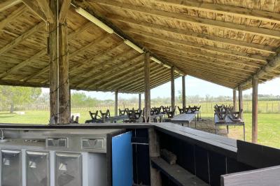 Deux chevaux blancs derrière une clôture en bois, entourés d'herbes hautes sous un ciel bleu.
