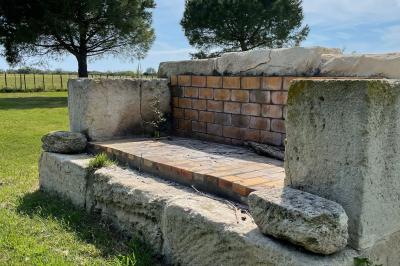 Deux chevaux blancs derrière une clôture en bois, entourés d'herbes hautes sous un ciel bleu.