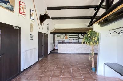 Deux chevaux blancs derrière une clôture en bois, entourés d'herbes hautes sous un ciel bleu.