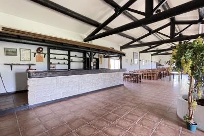 Deux chevaux blancs derrière une clôture en bois, entourés d'herbes hautes sous un ciel bleu.