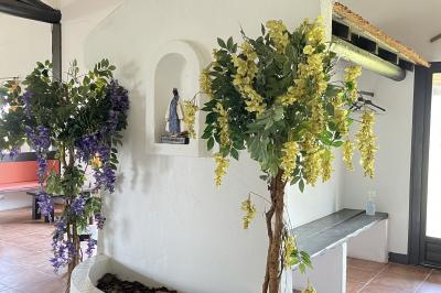 Deux chevaux blancs derrière une clôture en bois, entourés d'herbes hautes sous un ciel bleu.