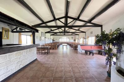 Deux chevaux blancs derrière une clôture en bois, entourés d'herbes hautes sous un ciel bleu.