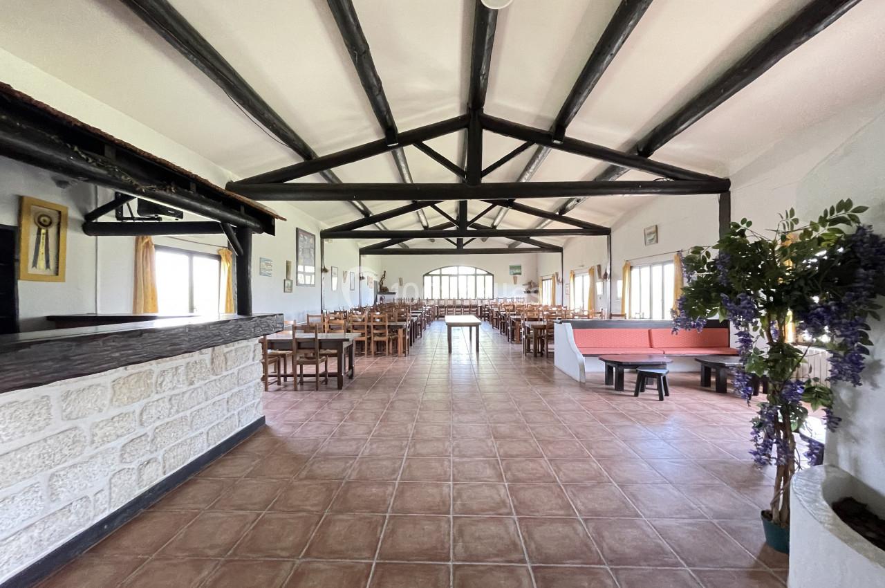 Salle spacieuse avec poutres apparentes, tables en bois alignées, bar en pierre et grandes fenêtres laissant entrer la…