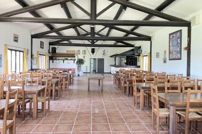 Deux chevaux blancs derrière une clôture en bois, entourés d'herbes hautes sous un ciel bleu.