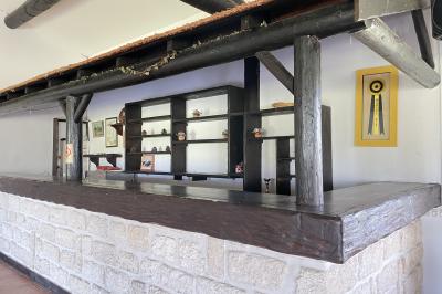 Deux chevaux blancs derrière une clôture en bois, entourés d'herbes hautes sous un ciel bleu.