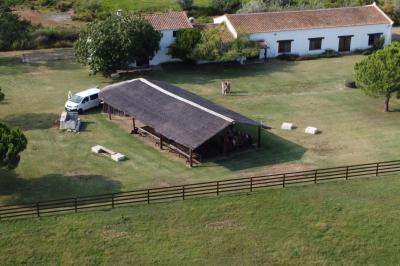 Deux chevaux blancs derrière une clôture en bois, entourés d'herbes hautes sous un ciel bleu.