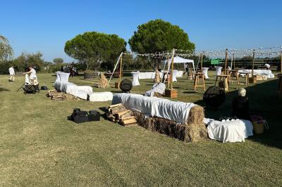 Deux chevaux blancs derrière une clôture en bois, entourés d'herbes hautes sous un ciel bleu.