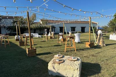 Deux chevaux blancs derrière une clôture en bois, entourés d'herbes hautes sous un ciel bleu.